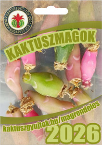Magtasak