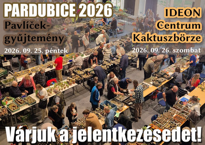 Pardubicei börzén 2025-ben
