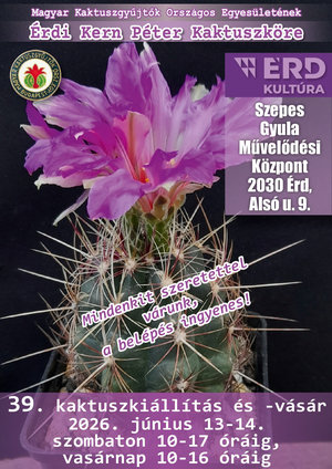 Érd